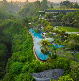 巴厘岛乌布威斯汀水疗度假村巴厘岛文化中心的家庭天堂