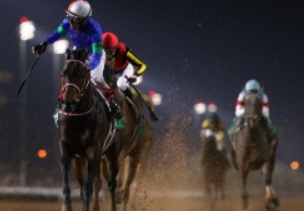 世界上奖金最高的赛马比赛将在沙特阿拉伯举行