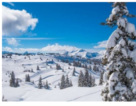 对法国顶级滑雪目的地进行了研究确认了该国滑雪目的地