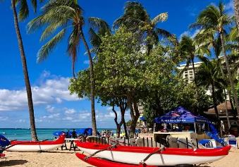 2024年1月夏威夷旅游业继续表现疲软