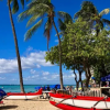 2024年1月夏威夷旅游业继续表现疲软